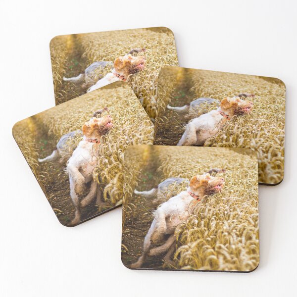 Item preview, Cover me I'm going in Spinone by heidiannemorris designed and sold by FOLK ART FUSION by heidiannemorris.