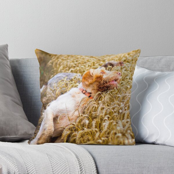 Item preview, Cover me I'm going in Spinone by heidiannemorris designed and sold by FOLK ART FUSION by heidiannemorris.