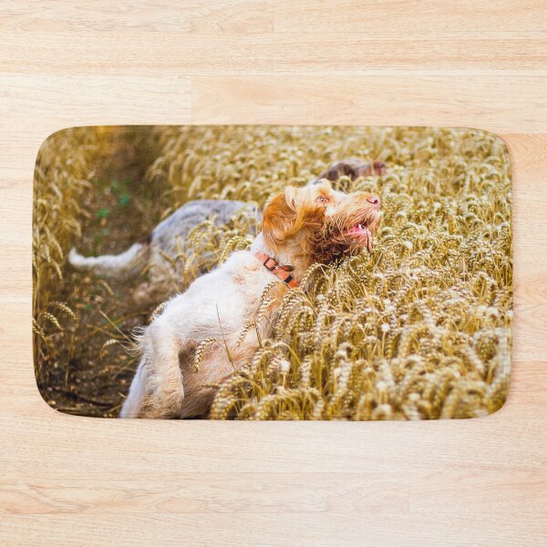 Item preview, Cover me I'm going in Spinone by heidiannemorris designed and sold by FOLK ART FUSION by heidiannemorris.