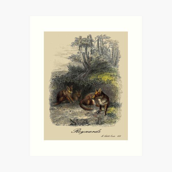 Item preview, FOXES : Vintage 1854 Comte Print designed and sold by posterbobs.