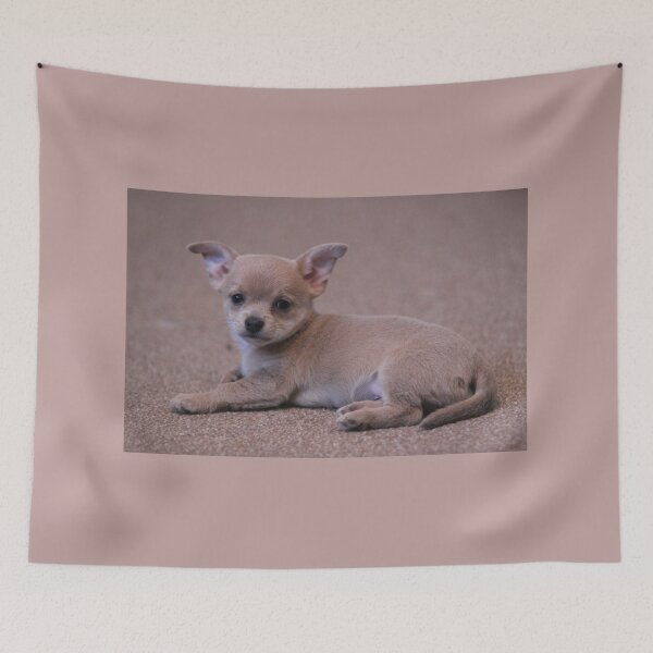 Item preview, little chalkie puppy designed and sold by macawmad.
