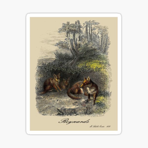 Item preview, FOXES : Vintage 1854 Comte Print designed and sold by posterbobs.