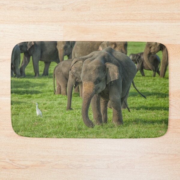 Item preview, A young elephant in a herd designed and sold by Photopat.