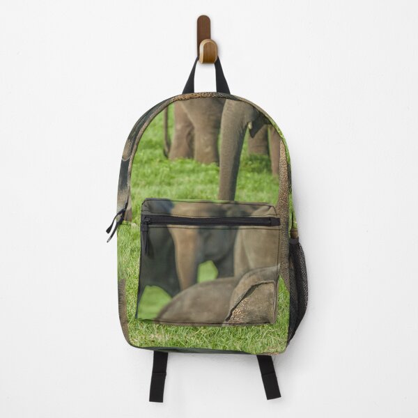 Item preview, A young elephant in a herd designed and sold by Photopat.