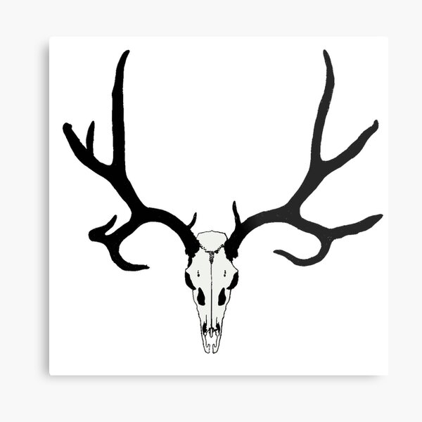 Mule Deer Skull Metal Print
