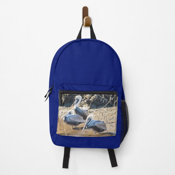 Item preview, Brown pelican in Intracoastal Waterway designed and sold by KensLensDesigns.