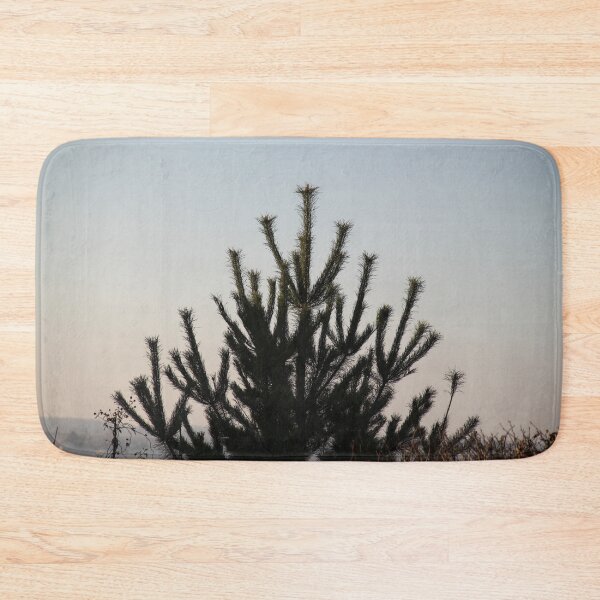 Item preview.