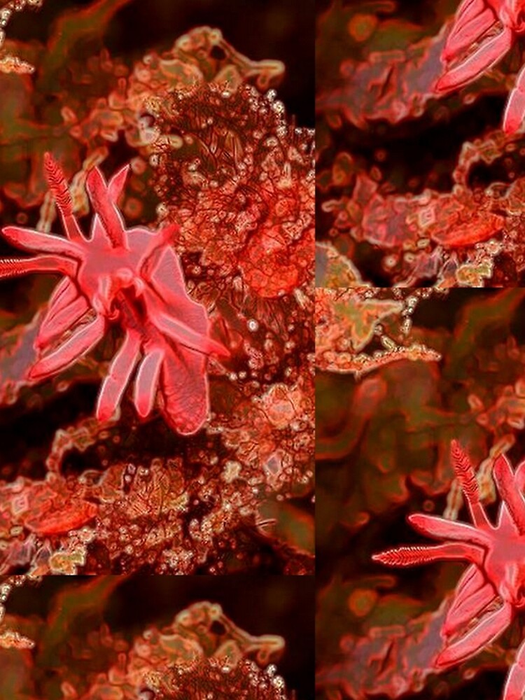 SEA OCEAN LIFE ANEMONE by michaeltodd