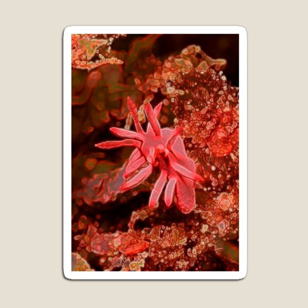 Item preview, SEA OCEAN LIFE ANEMONE designed and sold by michaeltodd.