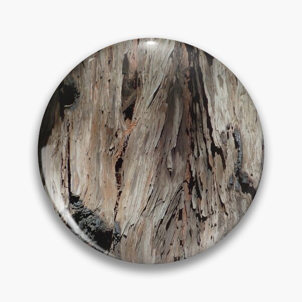 Artikelvorschau, Redwood Bark Close Up entworfen und verkauft von Allen Penton.