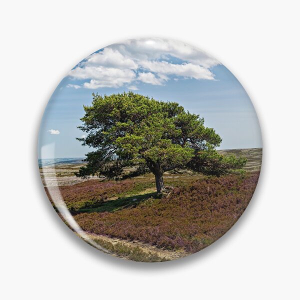 Item preview, Lone Pine - Burnhope Moor designed and sold by Reg-K-Atkinson.