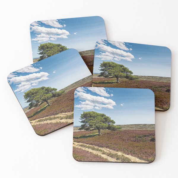 Item preview, Lone Pine - Burnhope Moor designed and sold by Reg-K-Atkinson.