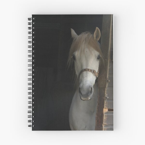 Item preview, Hello designed and sold by KMorral.
