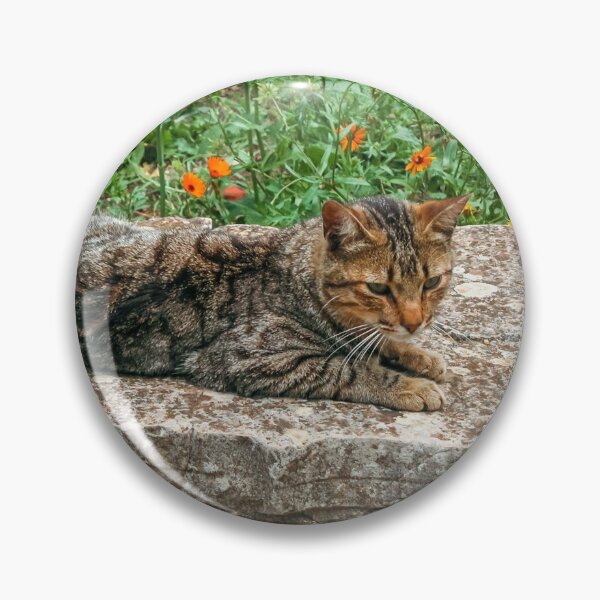 Item preview, Cat sitting on carved stone in Volubilis, Morocco designed and sold by Tom Carpenter.