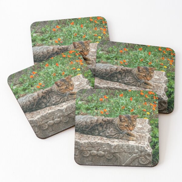 Item preview, Cat sitting on carved stone in Volubilis, Morocco designed and sold by Tom Carpenter.