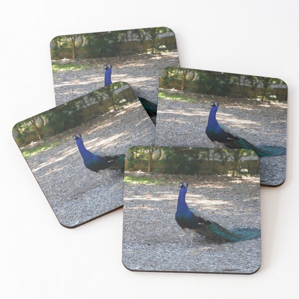 Item preview, Florida Peacock designed and sold by Redfiredragon.