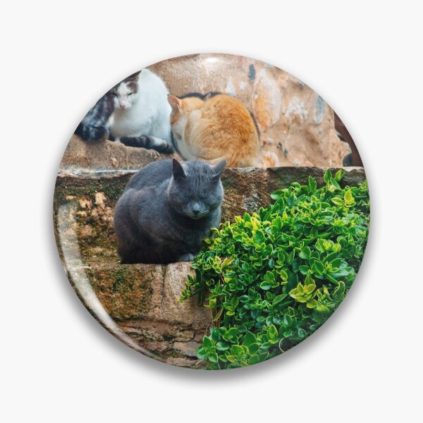 Item preview, Siesta time for the cats of Monemvassia designed and sold by Hercules Milas.