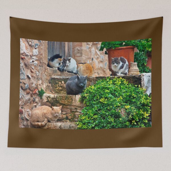 Item preview, Siesta time for the cats of Monemvassia designed and sold by Hercules Milas.