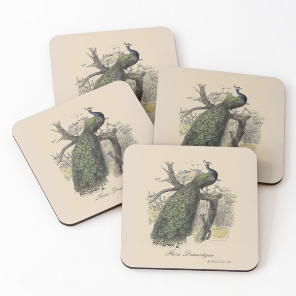 Item preview, PEACOCK : Vintage 1854 Comte Print designed and sold by posterbobs.