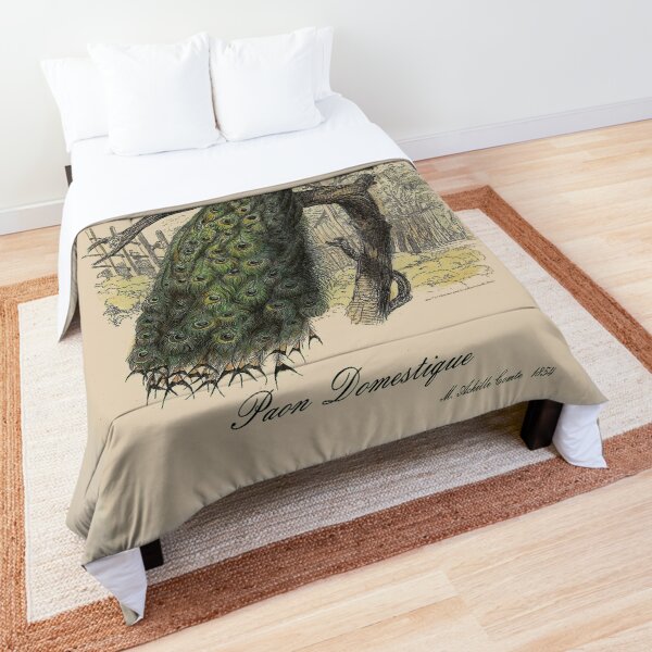 PEACOCK : Vintage 1854 Comte Print Comforter