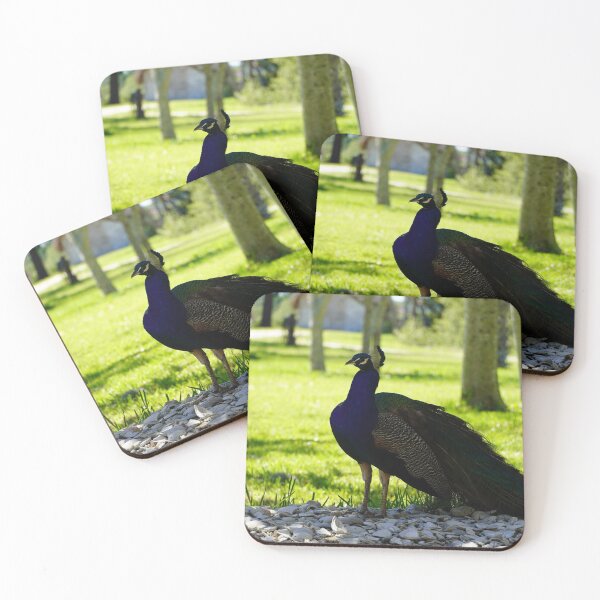 Item preview, Florida Peacock designed and sold by Redfiredragon.