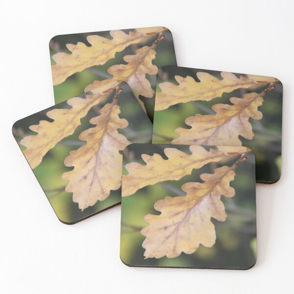Item preview, Oak dead leaves designed and sold by EstelleRossetti.
