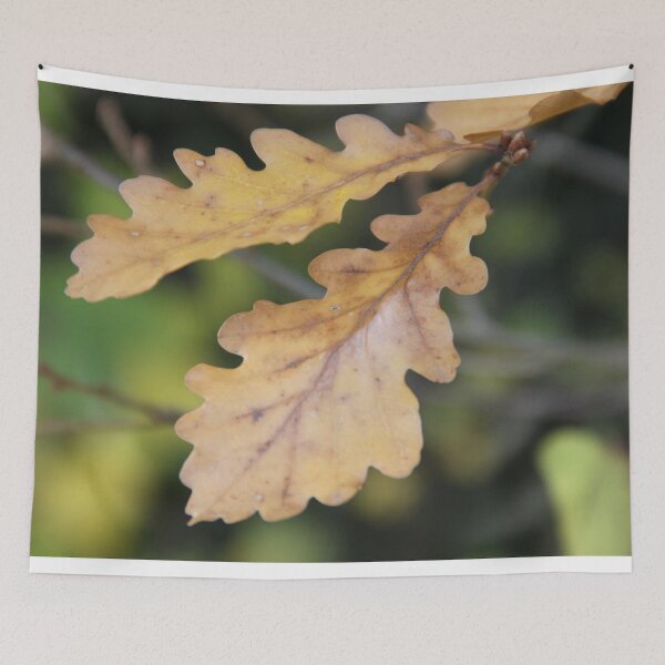 Item preview, Oak dead leaves designed and sold by EstelleRossetti.