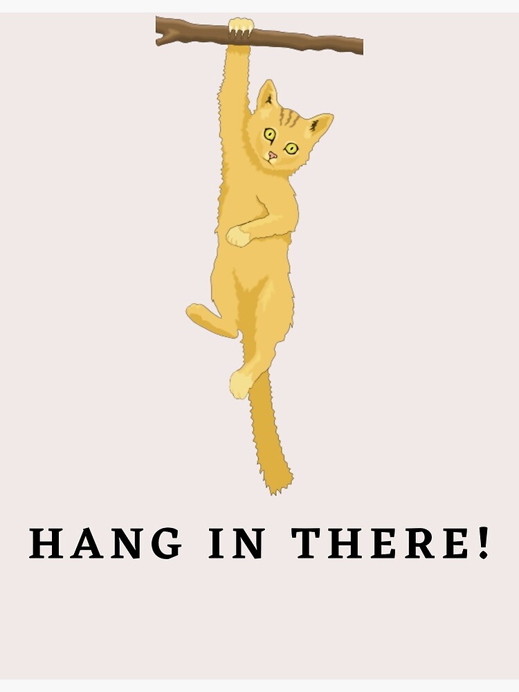 hang in there cat poser