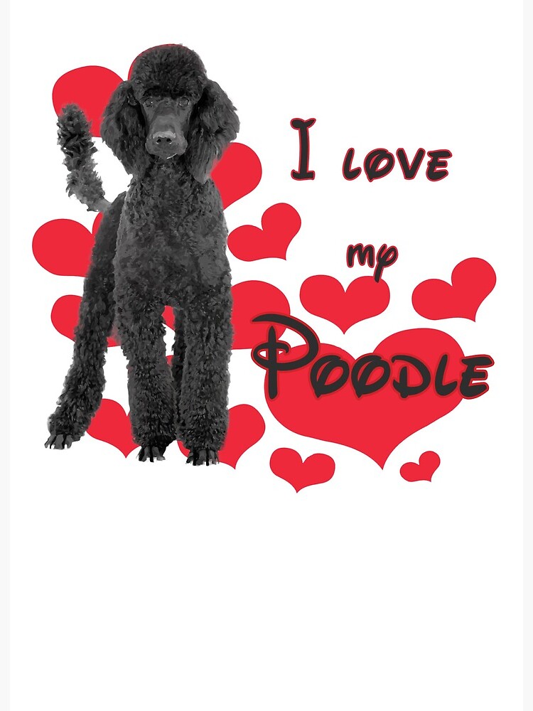 My poodle best sale