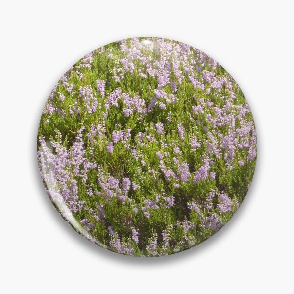 Aperçu de l'œuvre Forêt-Noire, Belle fleurs violettes en été. créée et vendue par Nt67.