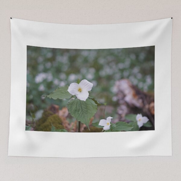 Item preview, trillium designed and sold by distracted.