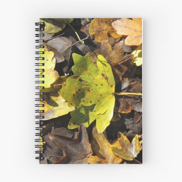 Item preview, Dead leaves designed and sold by EstelleRossetti.