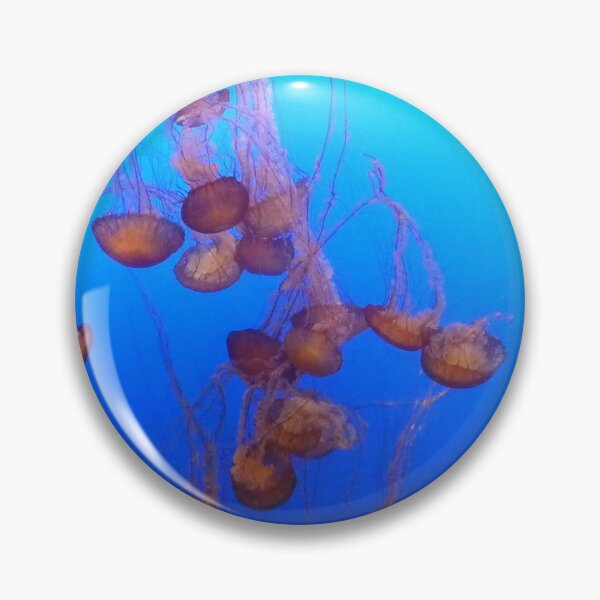 Item preview, Group of jellyfish designed and sold by Nt67.