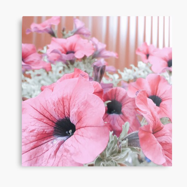 Pink Flowers Metal Print
