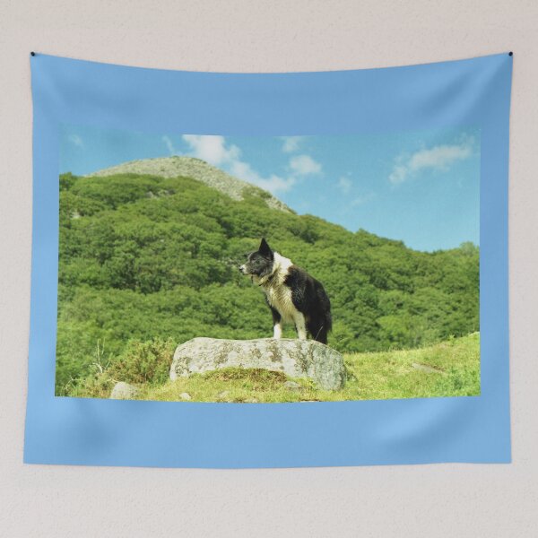 Item preview, High designed and sold by Michael Haslam.