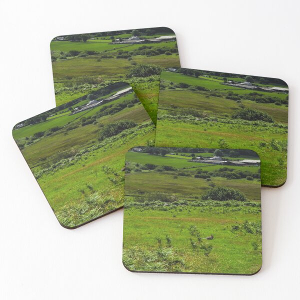 Item preview, Cwningen y Dyffryn designed and sold by Ffotograffiaeth Foulkes Foulkes Photography.