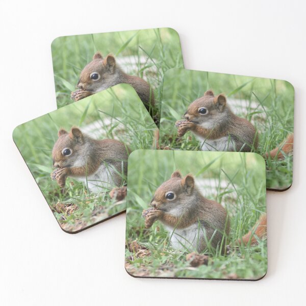 Item preview, American Red Squirrel designed and sold by rthornberry.