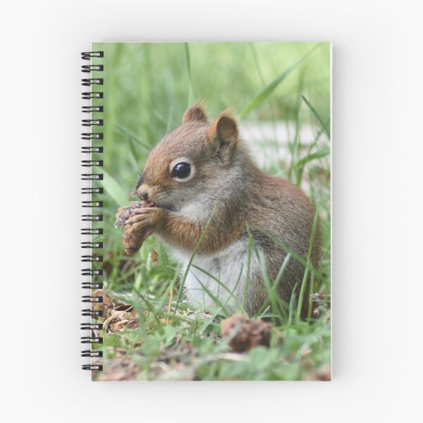 Item preview, American Red Squirrel designed and sold by rthornberry.