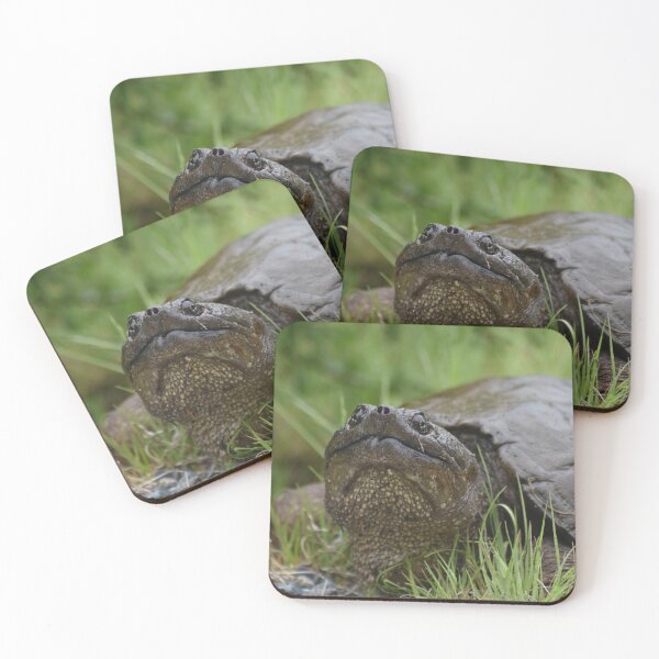 Item preview, Common Snapping Turtle designed and sold by rthornberry.