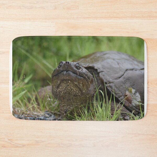 Item preview, Common Snapping Turtle designed and sold by rthornberry.