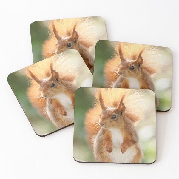 Item preview, Red Squirrel designed and sold by MendipBlue.