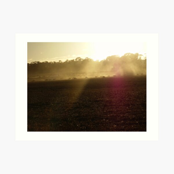 173/365 idyllic dust Art Print