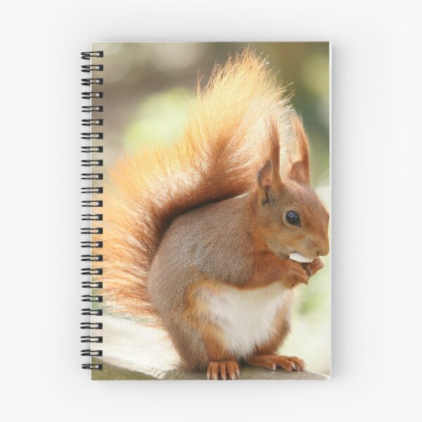 Item preview, Red Squirrel designed and sold by MendipBlue.