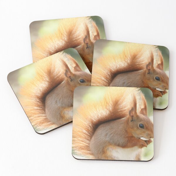 Item preview, Red Squirrel designed and sold by MendipBlue.