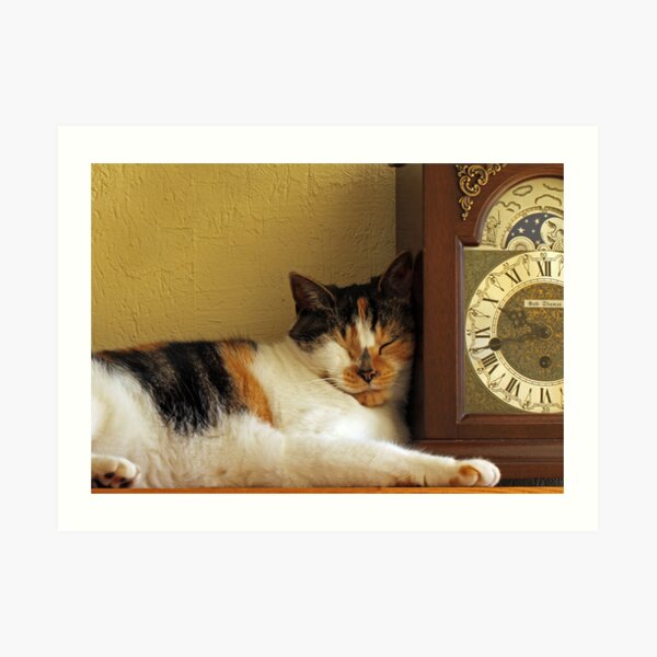 Nap Time Art Print