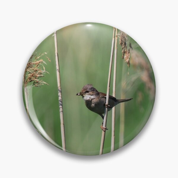Item preview, Reed Warbler on Somerset Levels designed and sold by MendipBlue.