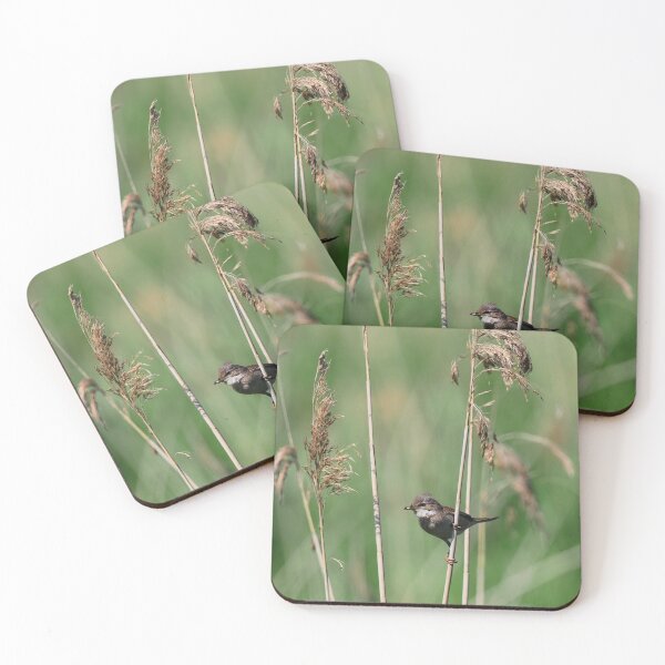 Item preview, Reed Warbler on Somerset Levels designed and sold by MendipBlue.