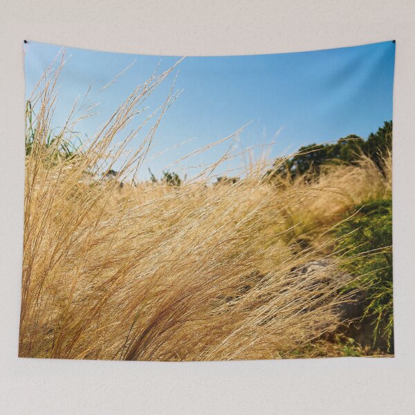 Item preview, Field designed and sold by LookFrog.