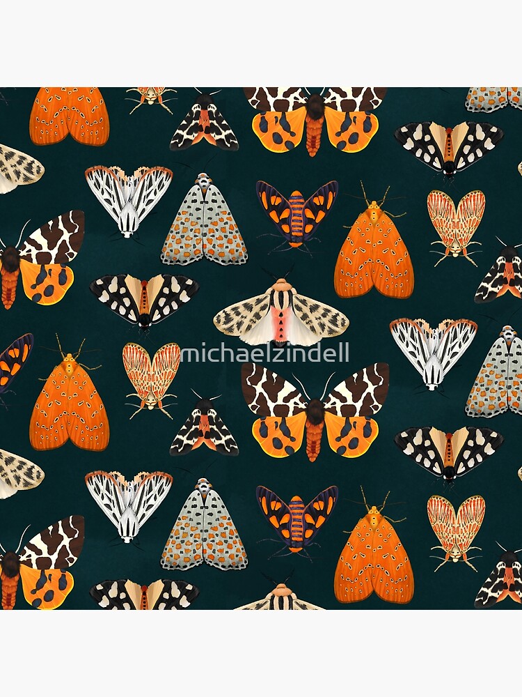 tiger moths by michaelzindell