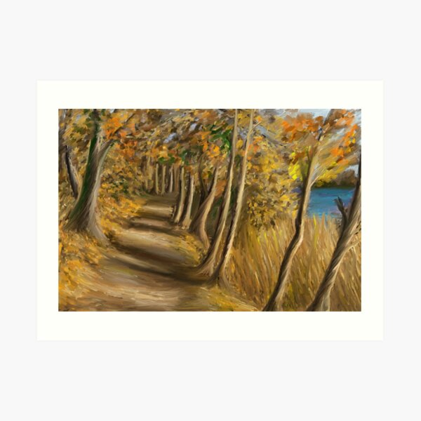 Walk through the woods in Sweden Art Print